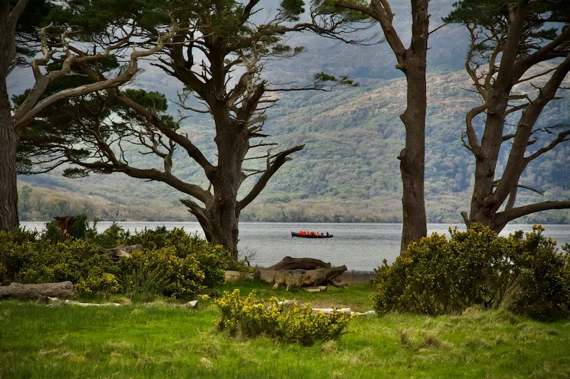 Day Tours & Sightseeing in Killarney, South West Ireland | Ultimate Travel Guide 2025 | Travel Blog